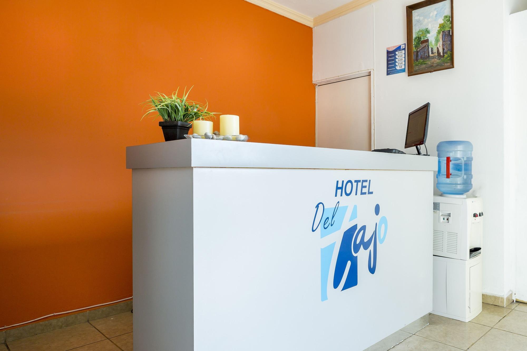 Vista Lobby Hotel del Tajo