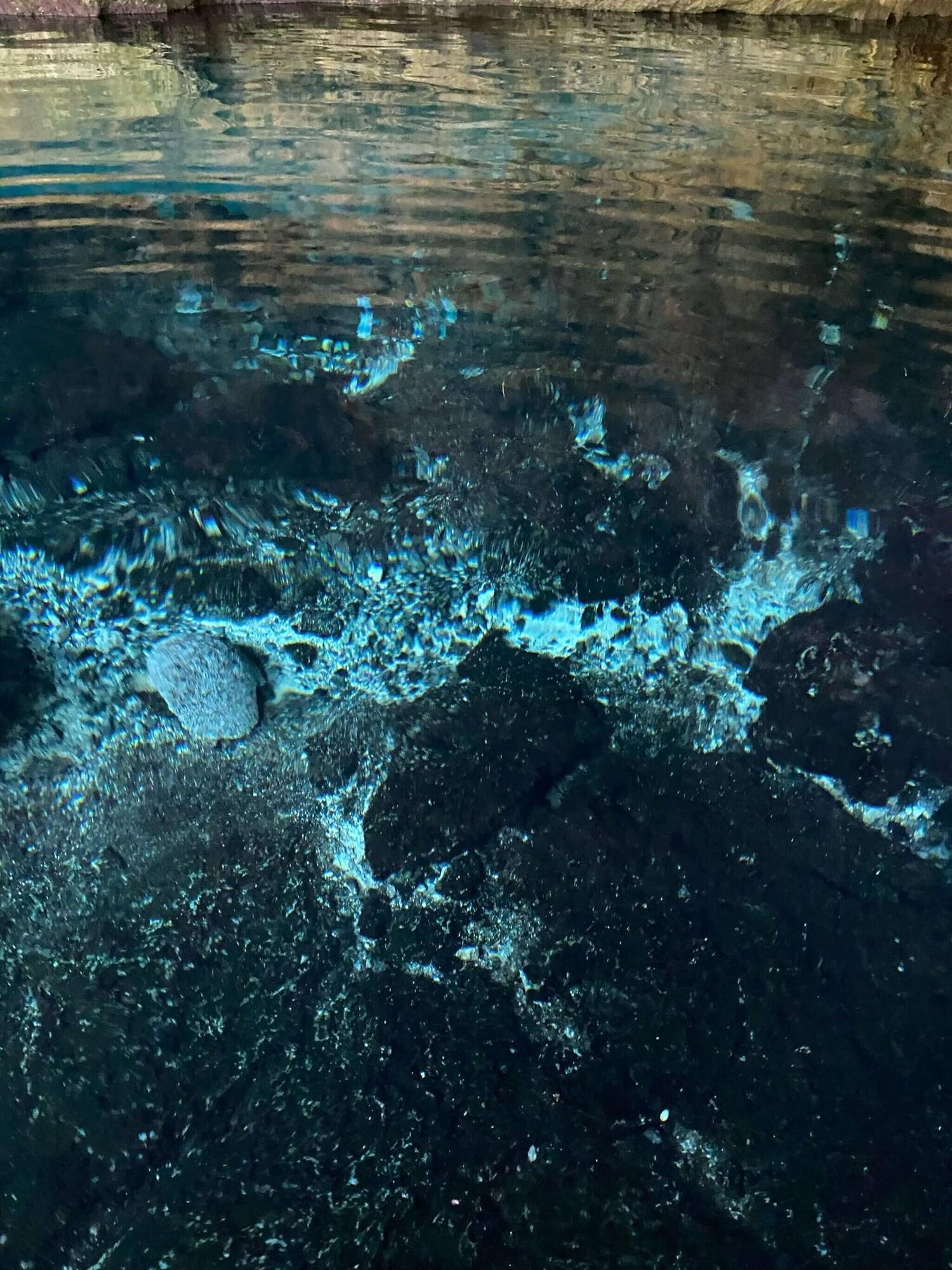 Vista Exterior Room in Lodge - Unique Jungle Dome 2 Queen Beds