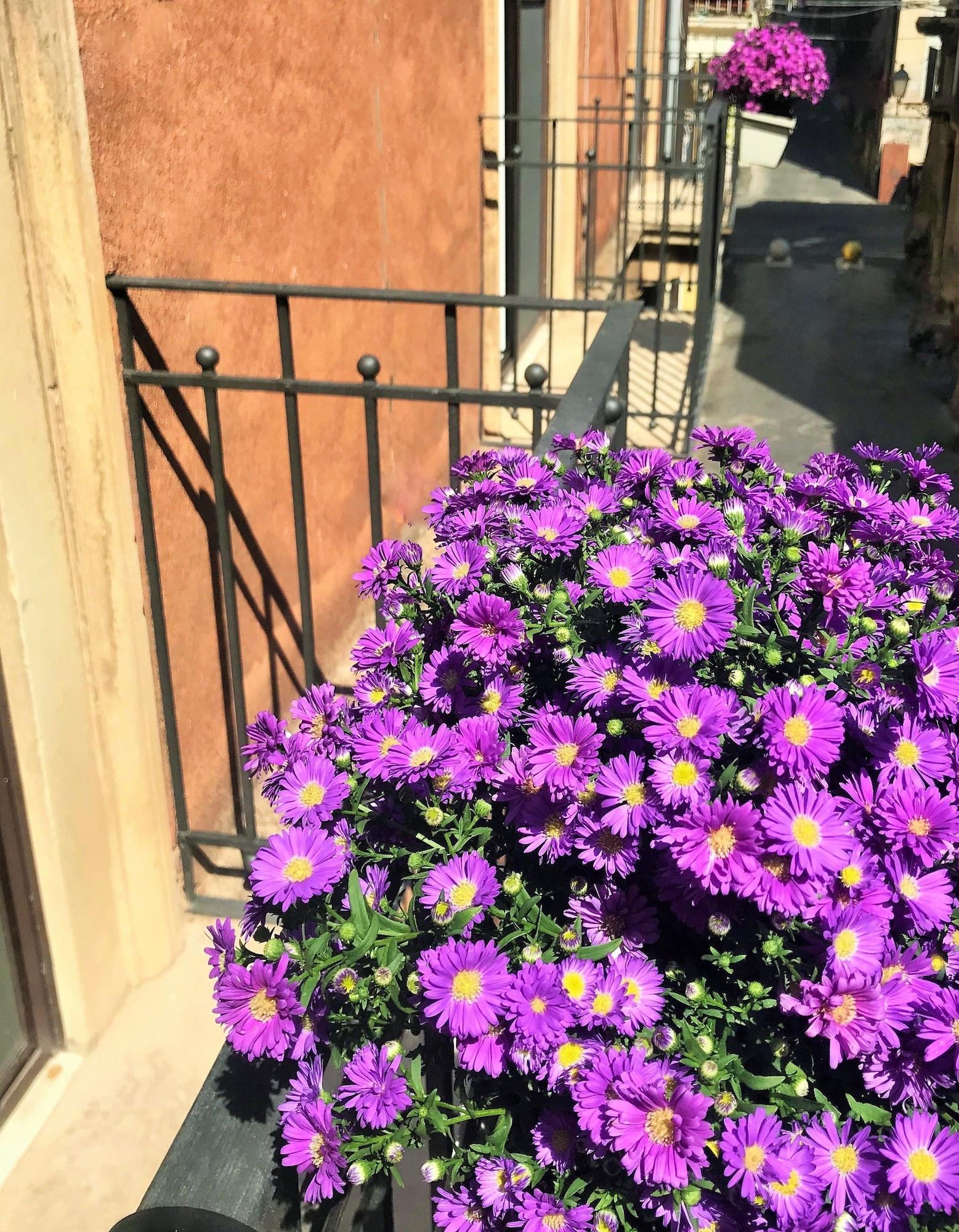 Equipamiento de Habitación Scene Suites Apartments