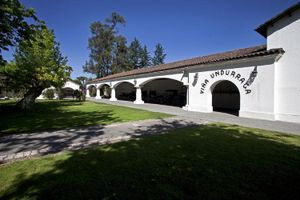 Actividad - Tour de cata de vinos en el viña Undurraga