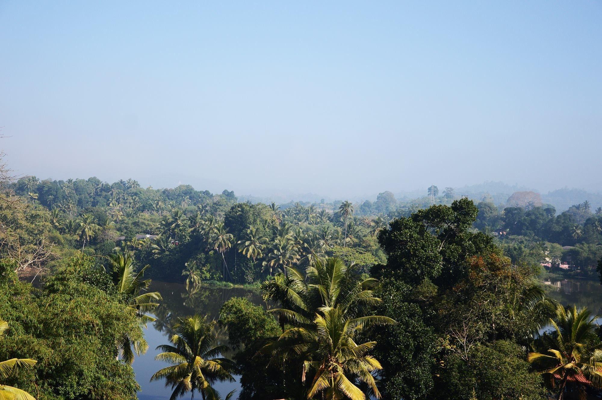 Equipamiento de Habitación Dazzling Villa