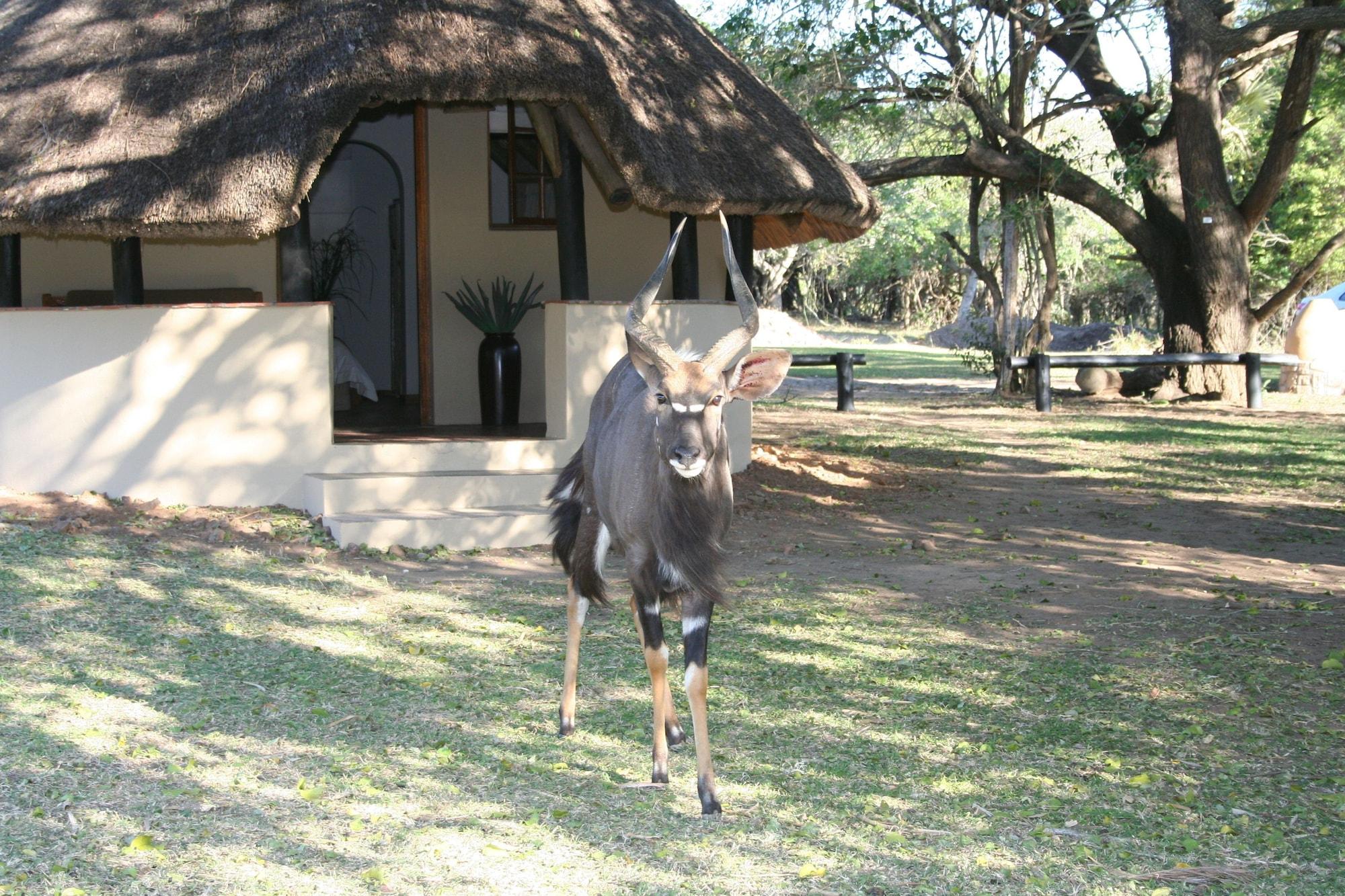 Vista Exterior Bonamanzi Game Reserve