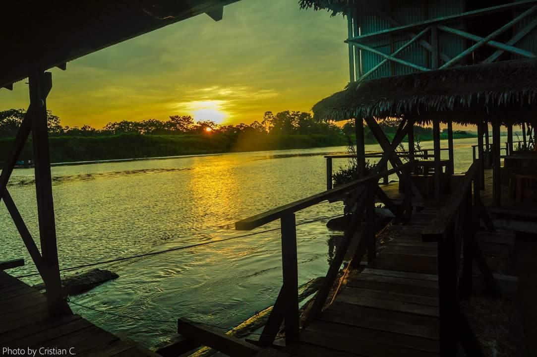 Vista Lobby Floating Cabin Kurupira