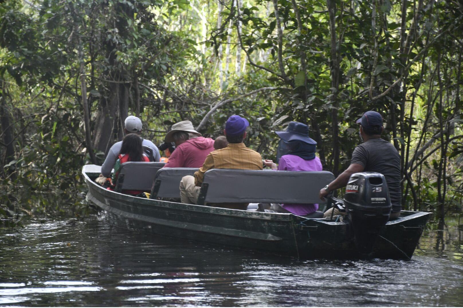 Instalaciones Recreativas Curassow Amazon Lodge
