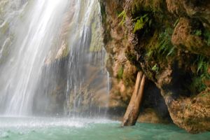 Actividad - El Limón: Excursión a la Cascada con Almuerzo