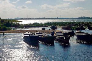 Passagem - Voos para Petrolina