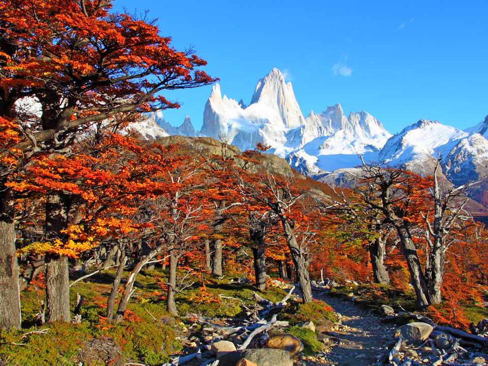El Calafate