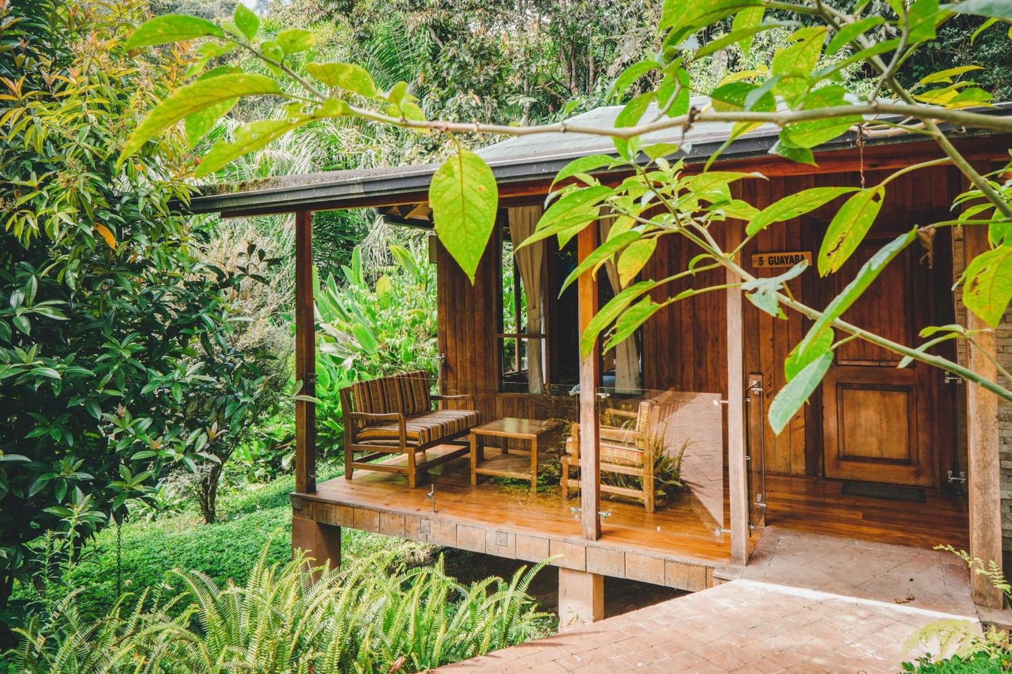 Equipamiento de Habitación Piripe Wellness Lodge