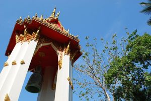 Alojamiento - Salsa Hostel