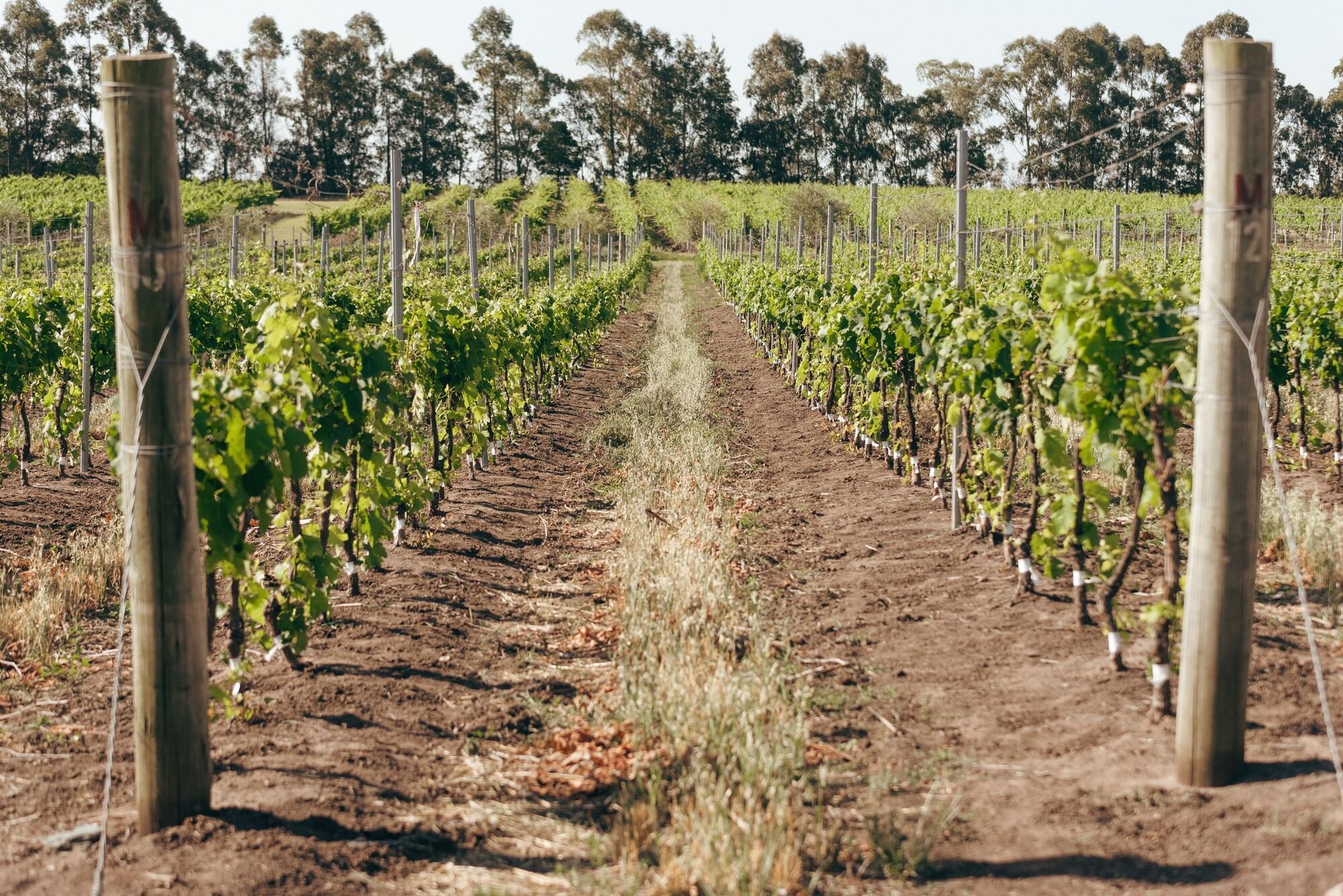 Vista Exterior Finca del Sacramento