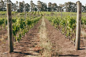 Alojamiento - Finca del Sacramento