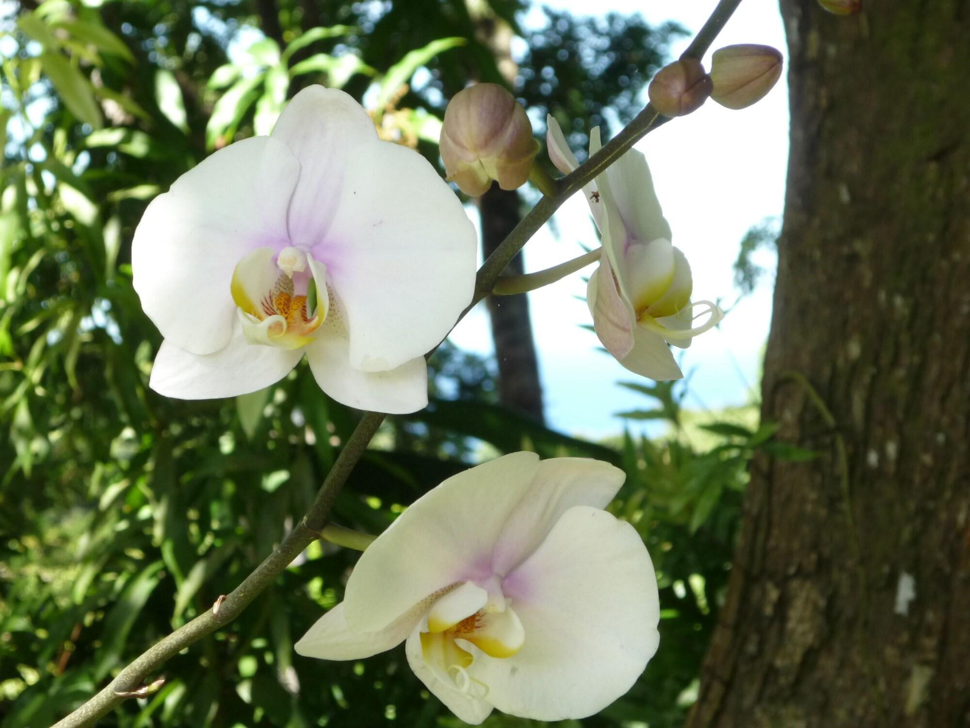 Instalaciones Recreativas Logis Hôtel Villa Victorine