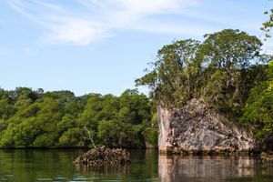 Actividad - Excursión al Parque Nacional Los Haitises