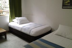 Alojamiento - Palm Tree Hostal Medellin - Hostel