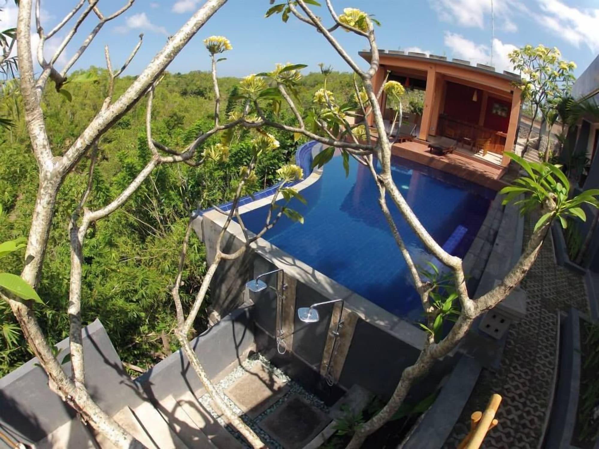 Vista Exterior Terrace Ampels