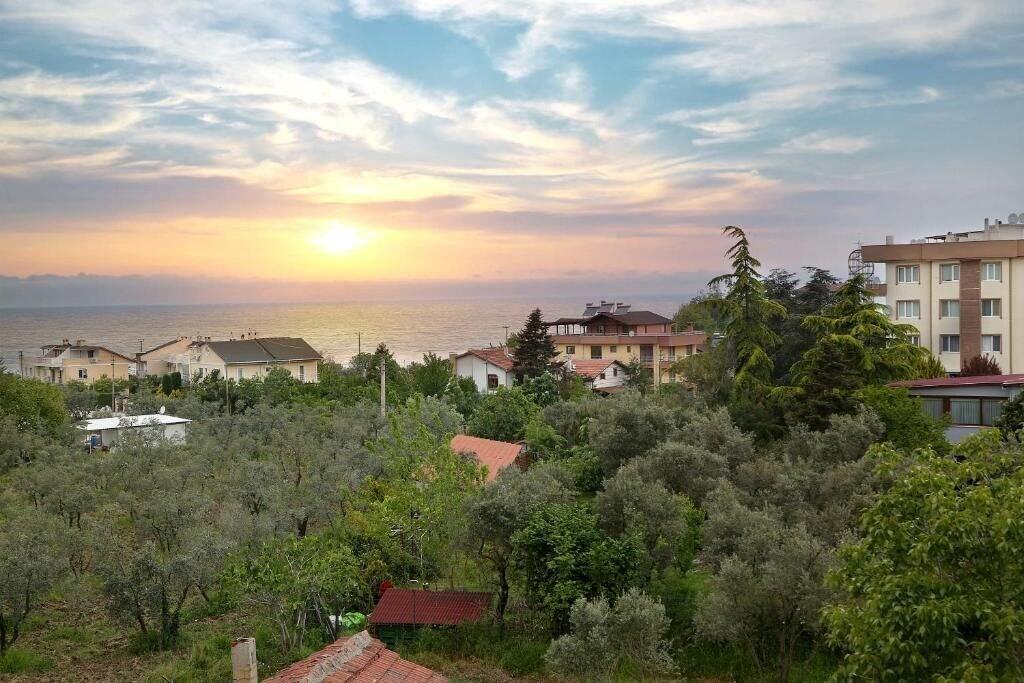 Playa Flower City Suits