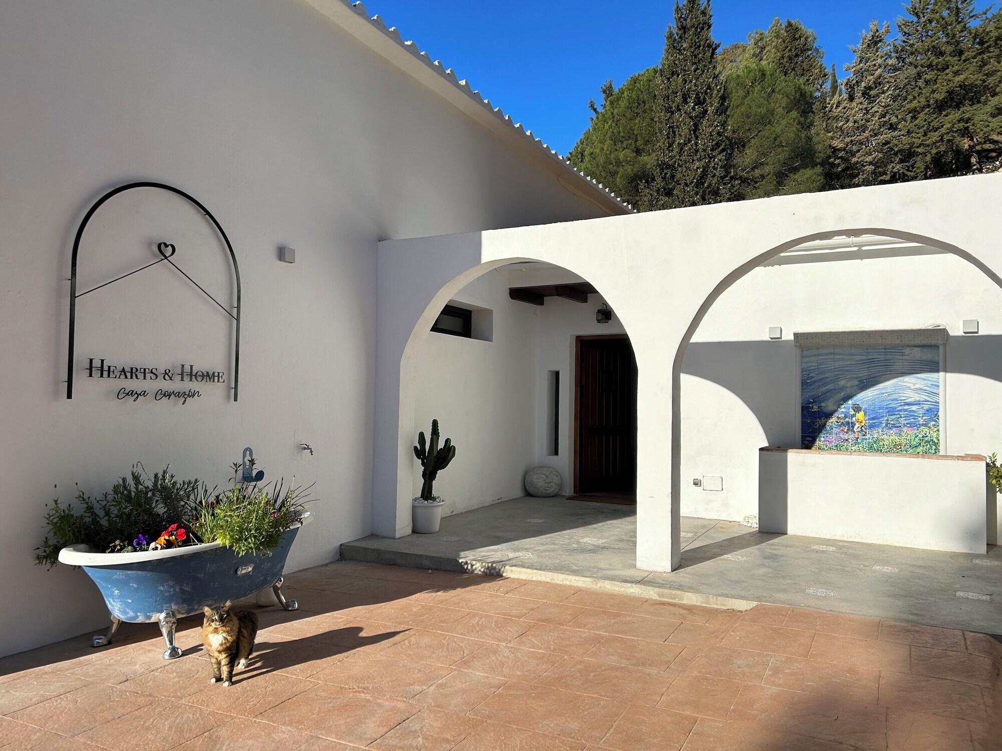 Varios Hearts & Home