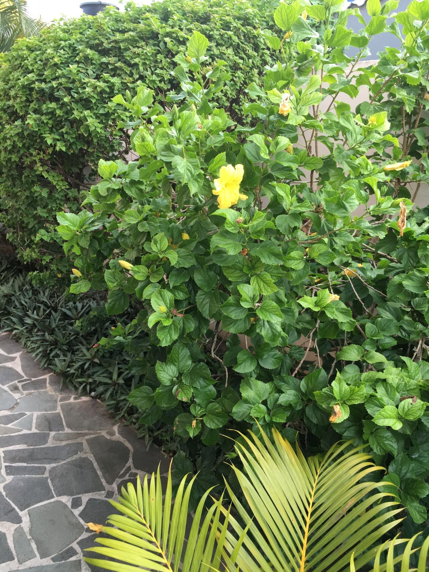 Comodidades del Alojamiento Beachcross Villa Apartments