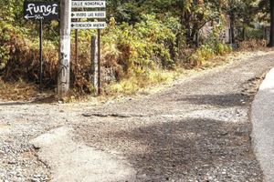 Alquiler Vacacional - Fungi Cabins