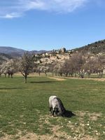 Alquiler Vacacional - Watch Tower 2 - Two Bedroom Apartment, Garden View