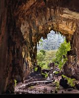 Actividad - Aventura en la Oscuridad: Cueva de los Búhos y Expedición a Santa Carmen