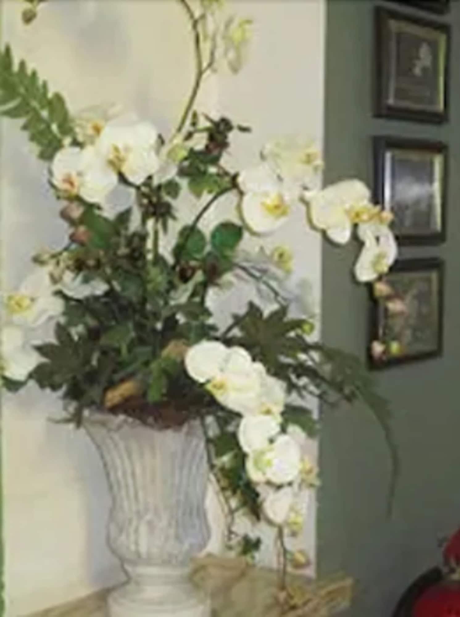 Comodidades del Alojamiento Hotel Stephan