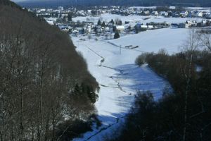 Alquiler Vacacional - Morbach Hillside Mansion