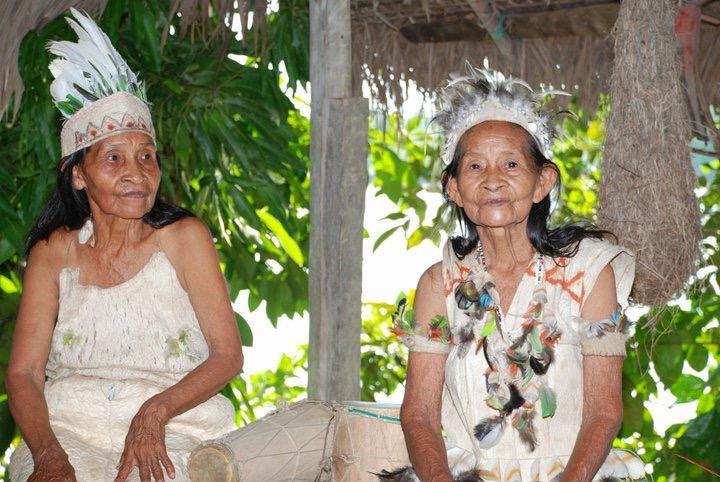 Bar/Salón Reserva Natural Yavary Tucano