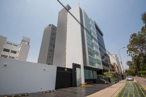 Alojamiento - Palmetto Hotel Business San Borja
