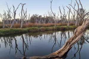 Actividad - Visita personalizada de Perth