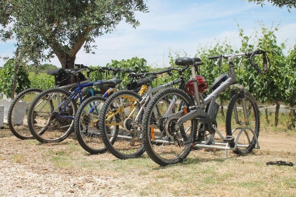 Varios Monte das Aranhas Wine Luxury