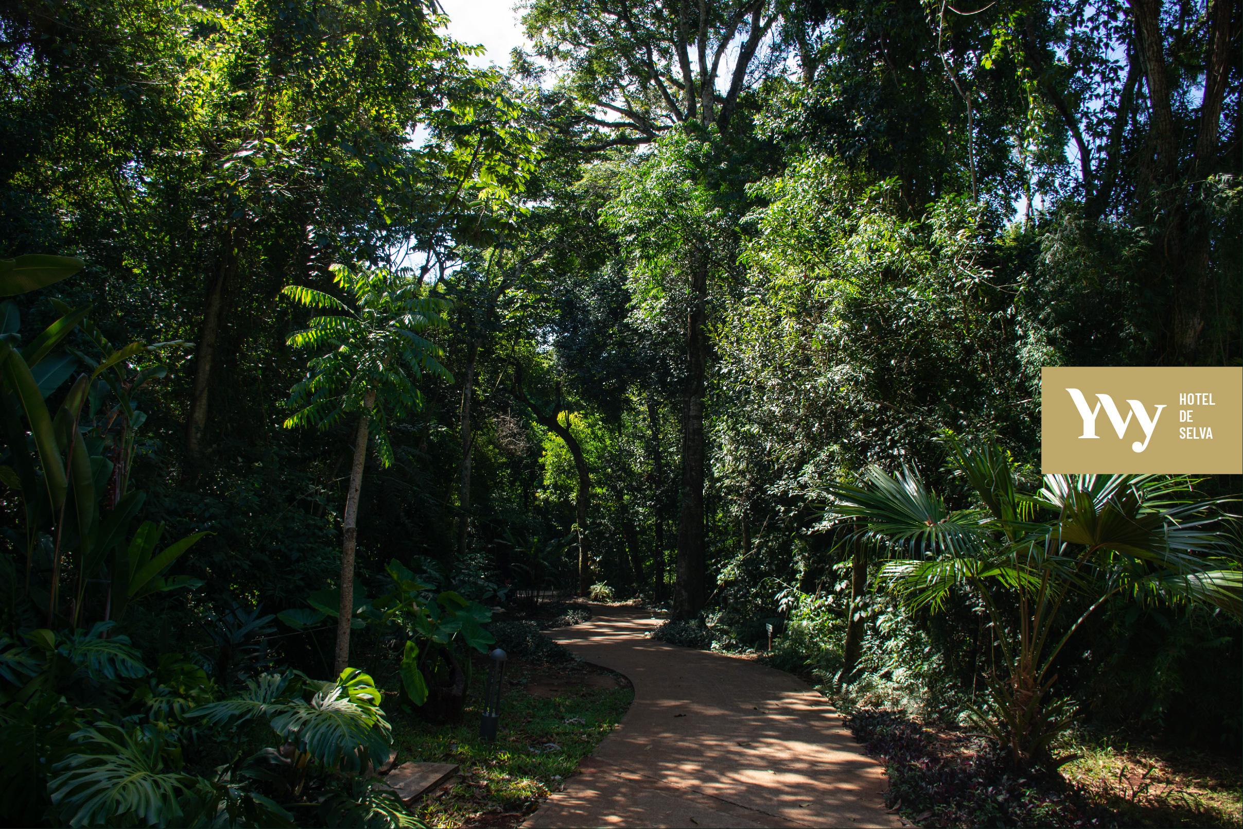 Vista Exterior Yvy Hotel de Selva