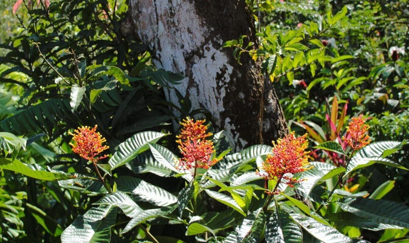 Comodidades del Alojamiento Triple Basic Room With Shared Areas and Shared Bathroom