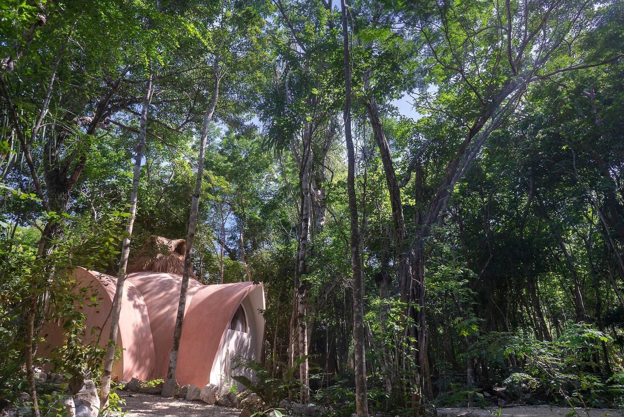 Vista Exterior Room-unique Jungle Dome Ik