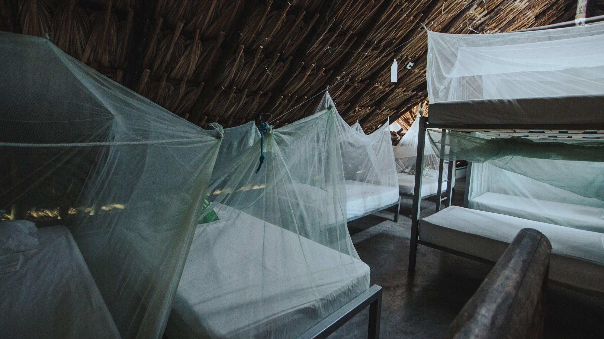 Habitación Makenke Hostel By Los Colores Ecoparque