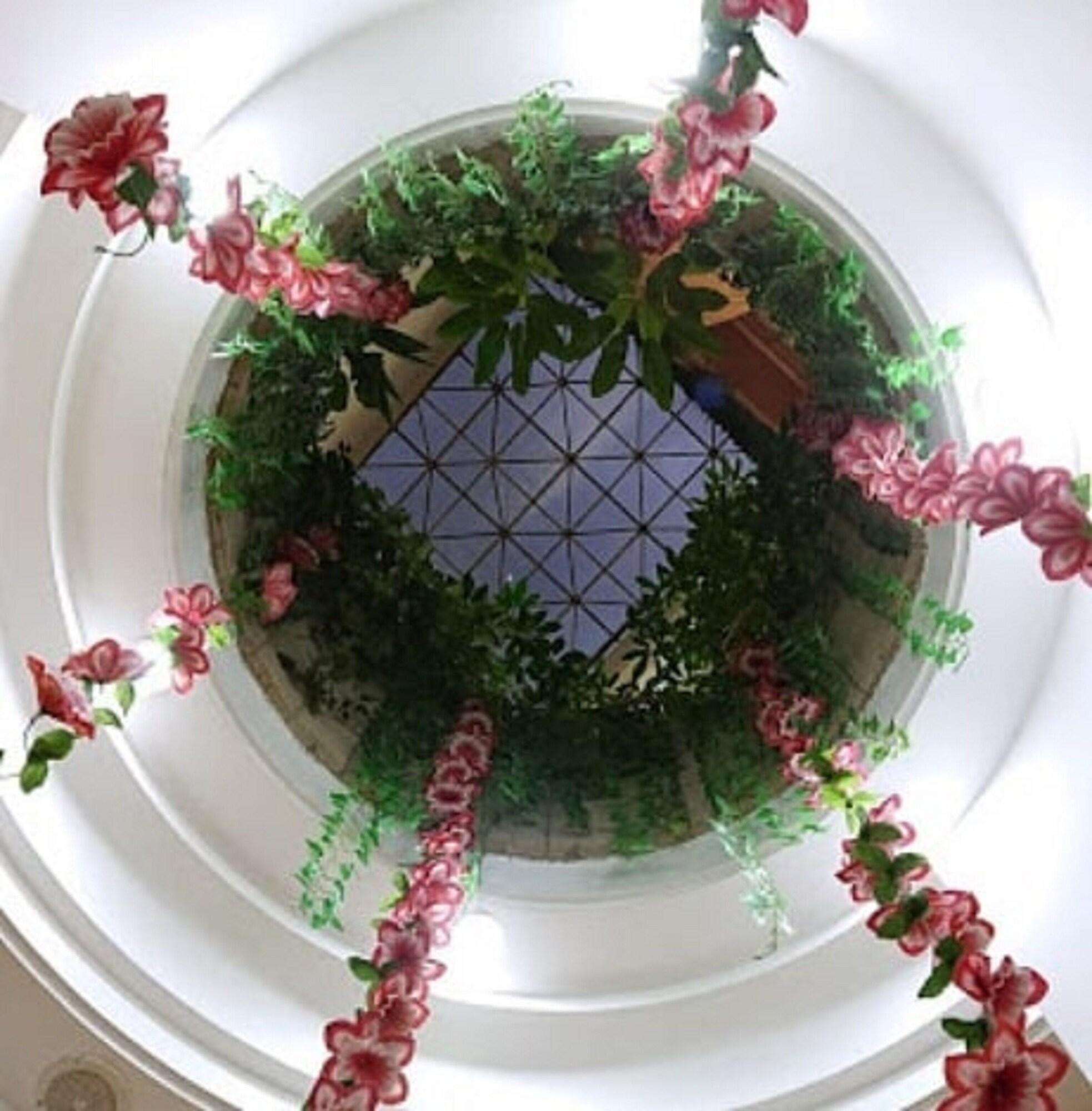 Comodidades del Alojamiento Hotel Azores