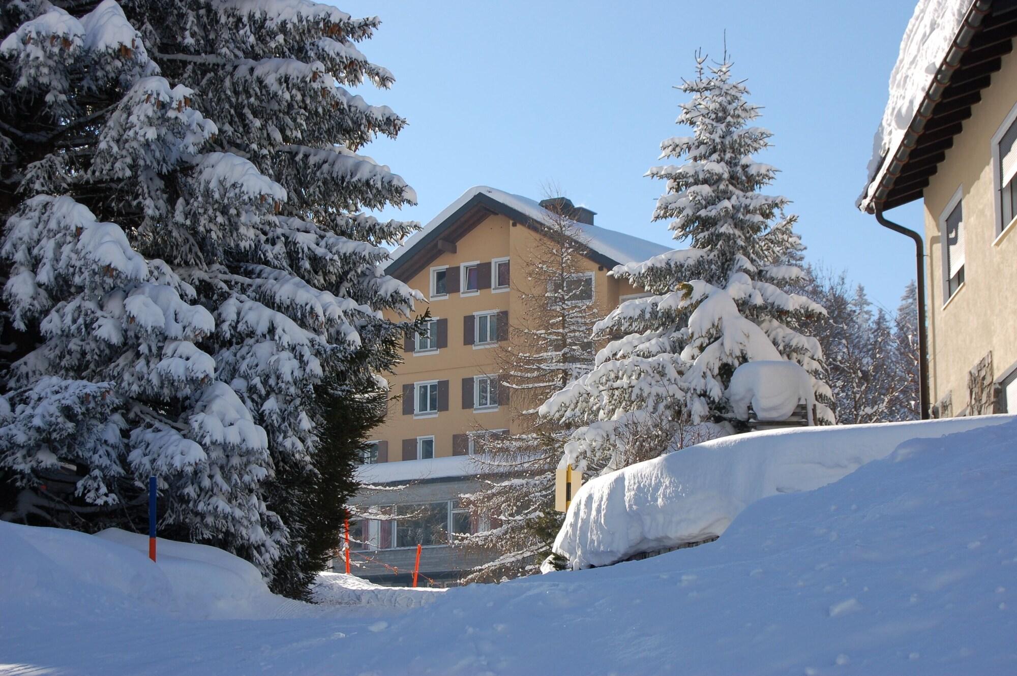 Vista Exterior Hotel Alpina Parpan