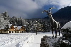 Alojamiento - JASNA NATUR Resort