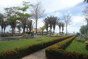 Alojamiento - FINCA HOTEL PALMAVINO