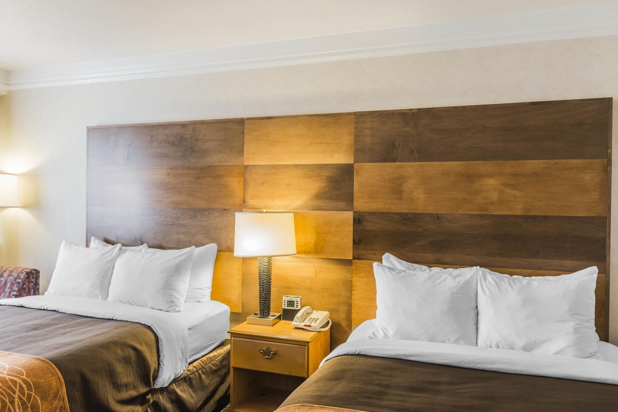 Habitación Comfort Inn & Suites Durango