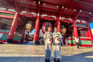 Actividad - Tokio Completo: Santuario Meiji, Palacio Imperial, Asakusa y Skytree