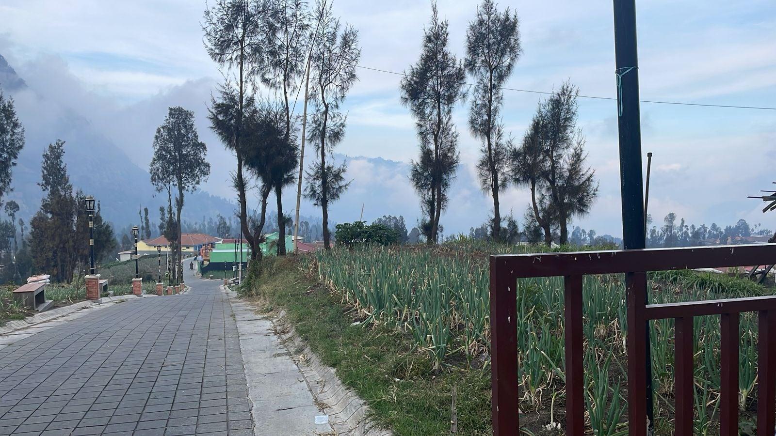 Vista Exterior Bromo Semesta Guesthouse