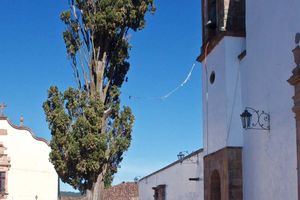 Actividad - Excursión a Santa Clara del Cobre