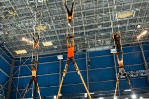 Actividad - Drawn to Life by Cirque du Soleil