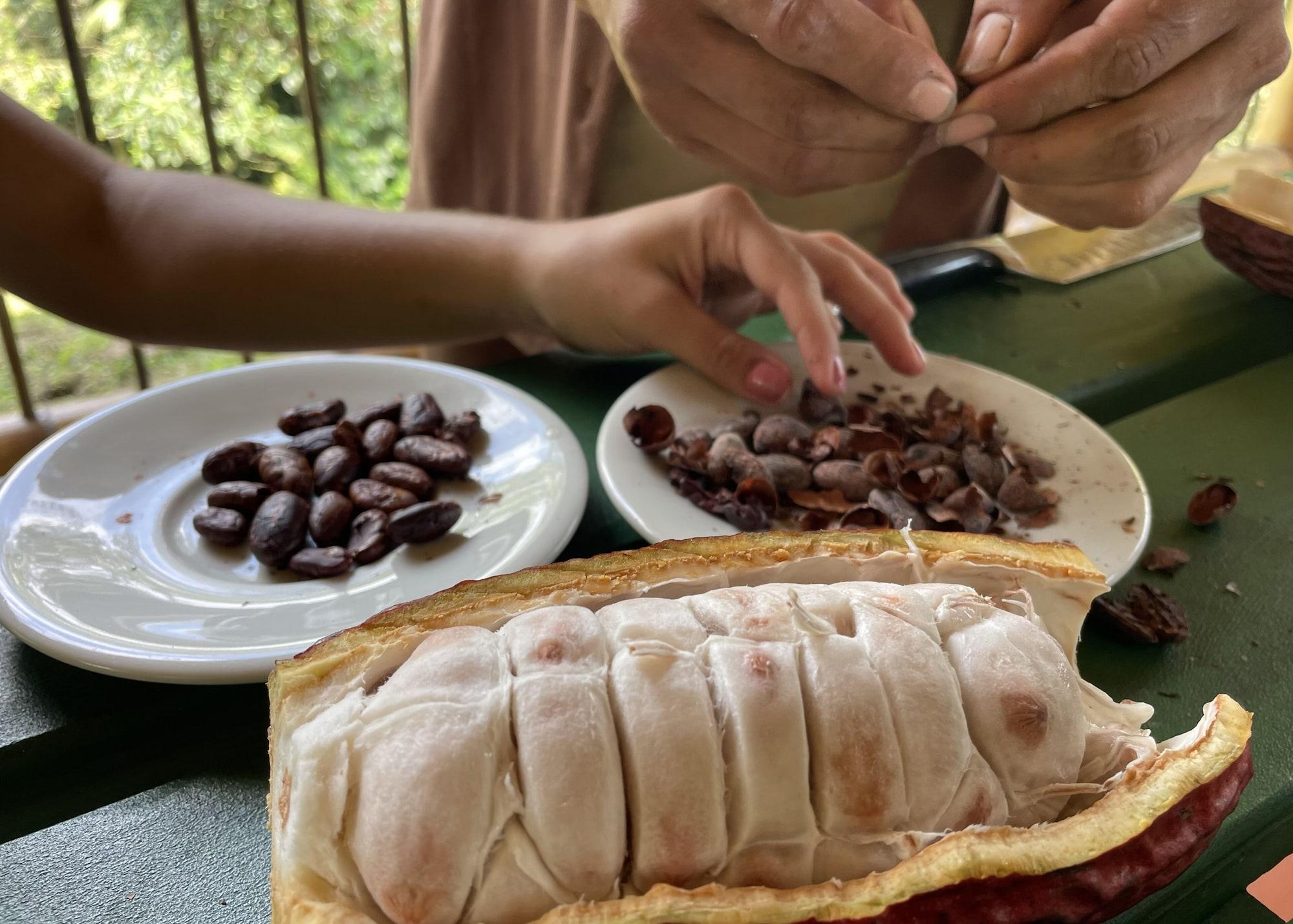 Restaurant MuchoSur Filandia