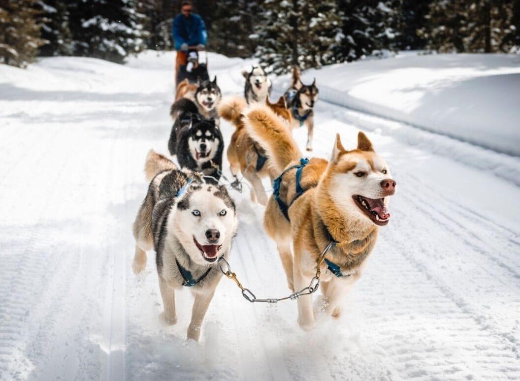 Instalaciones Recreativas Camp North Tour