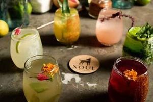 Activity - Valladolid Mezcal Tasting