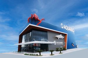 Actividad - Acuario Oceánico - Semana del Consumidor