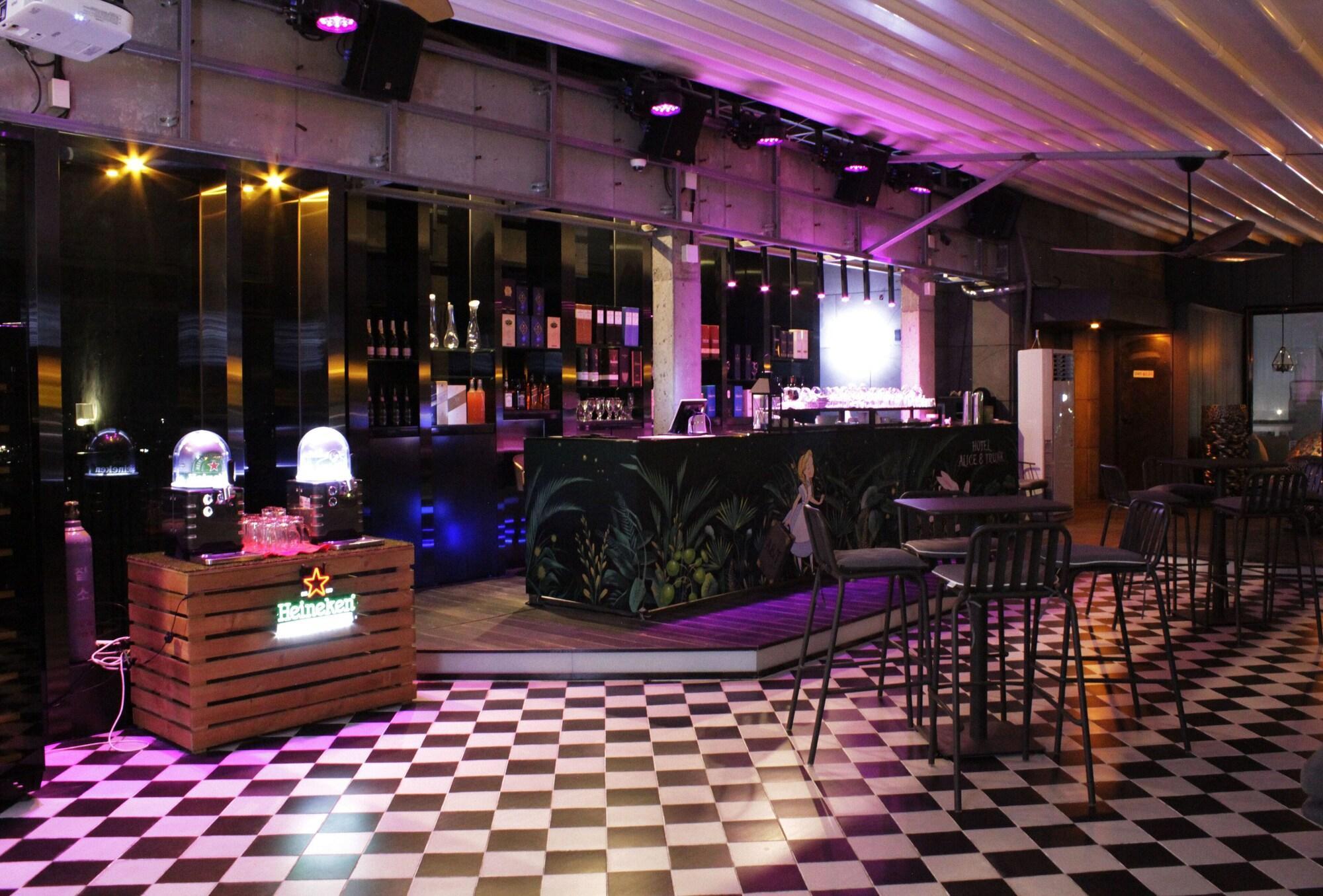 Instalaciones Recreativas Hotel Alice And Trunk