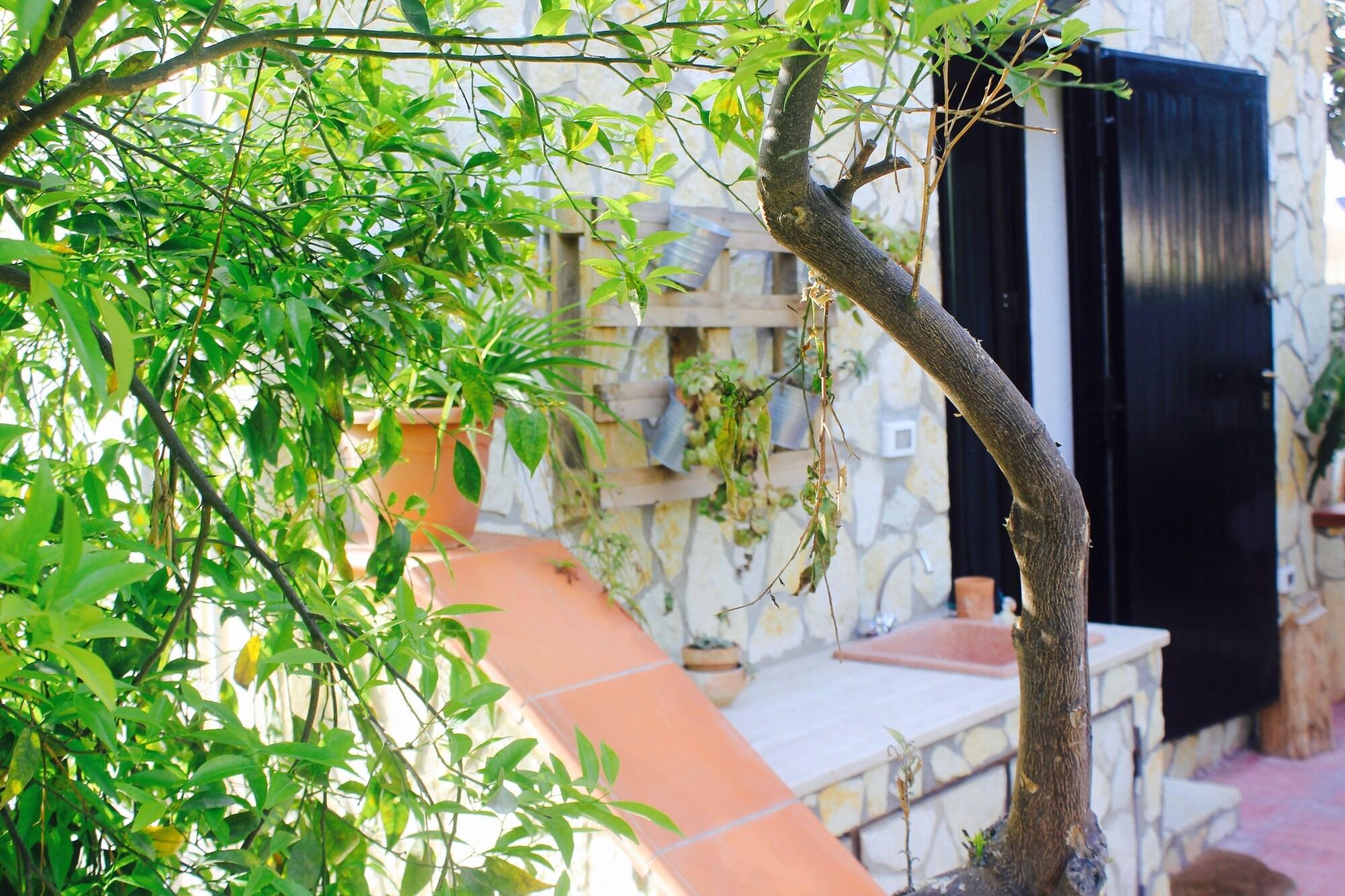 Vista Exterior La Casetta
